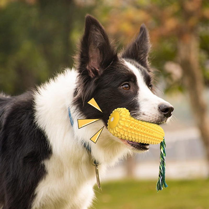 Quietschender Corn Dog Zahnbür – Corn Dog Stick Bewertung und Preis